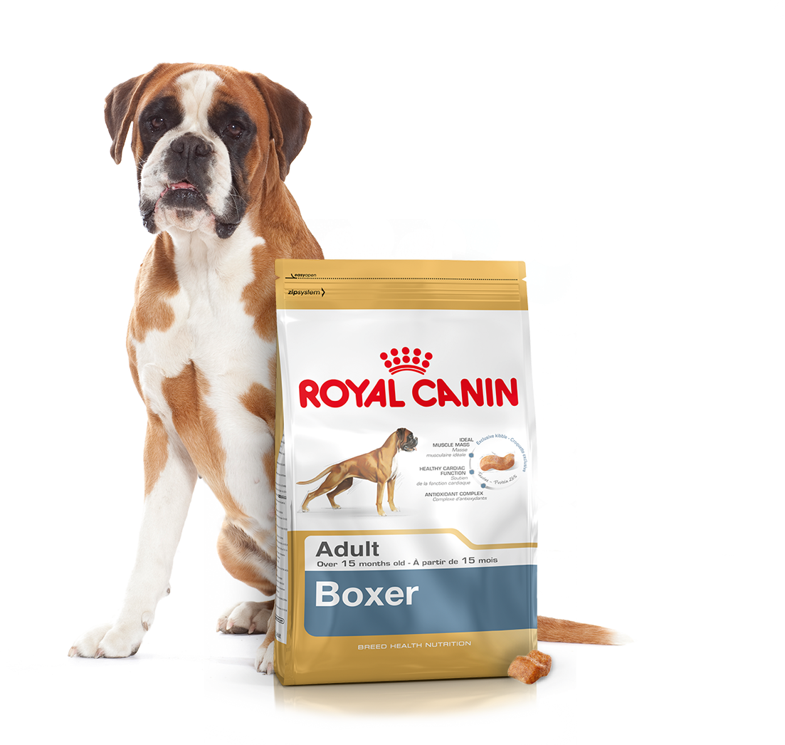 Корм для собак для почек. Royal Canin корм для кошек и собак. Роял Канин реклама с собаками. Корма Роял Канин для собак реклама. Royal Canin PNG корм.