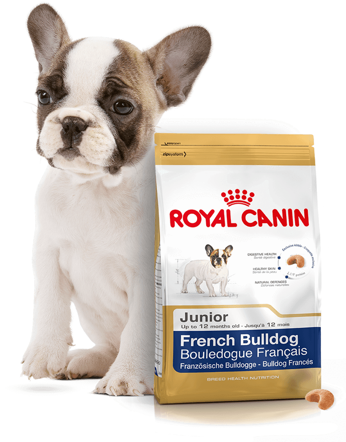 Каким сухим кормом кормите собаку. Royal Canin French Bulldog. Роял Канин для французских бульдогов. Royal Canin для французских бульдогов. Роял Канин корм для щенков французского бульдога.