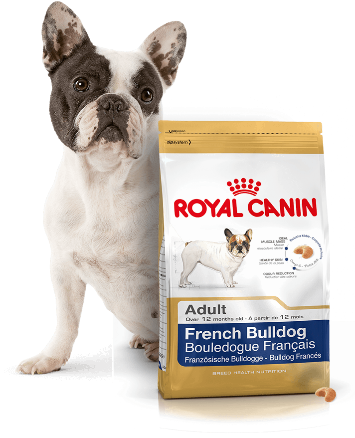 Французский корм для собак. Royal Canin French Bulldog Adult (французский бульдог Эдалт). Роял Канин френч бульдог. Корм Роял Канин для собак французского бульдога. Корм Роял Канин для собак адульт для французского бульдога.
