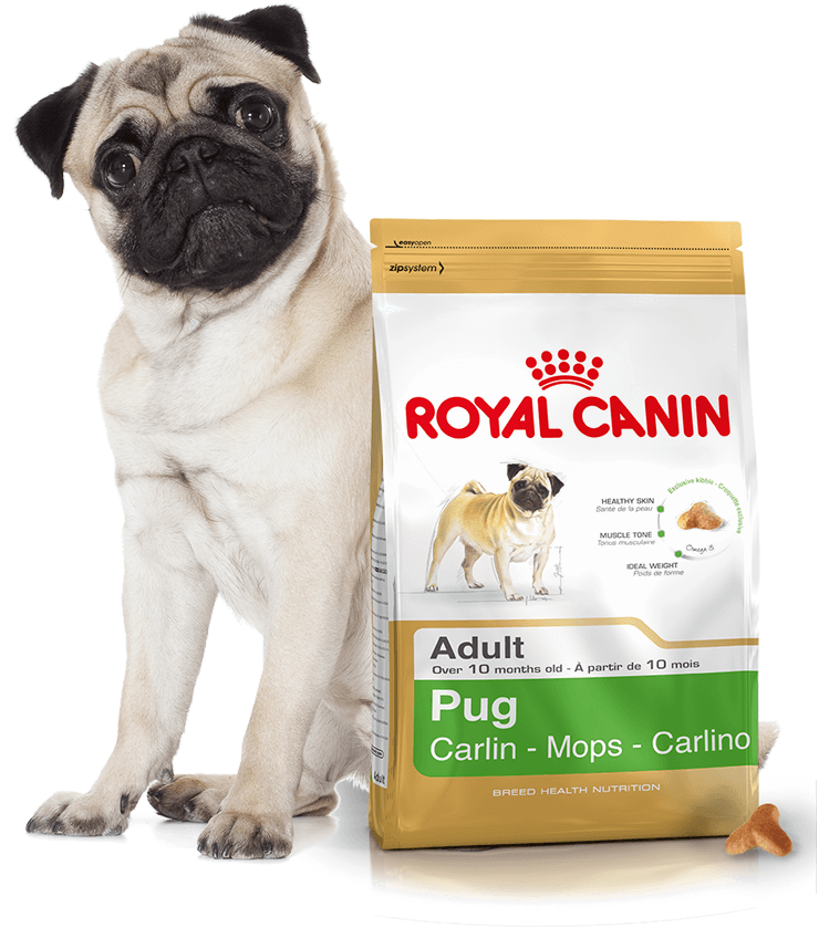 Кормление собак роял канин. Роял Канин для щенков МОПСА. Royal Canin корм для МОПСА. Royal Canin Pug Adult для взрослых собак породы Мопс. Роял Канин для мопсов взрослых.